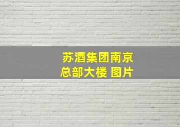 苏酒集团南京总部大楼 图片